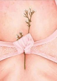 多么甜在线阅读