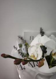 我的未婚妻是总裁免费阅读