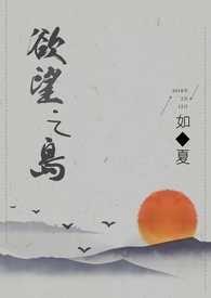 欲望之岛讲的啥