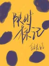 限时进入标识