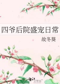 四爷的宠后全文免费阅读