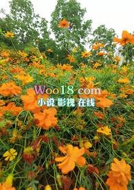 乱花迷人眼完美条件