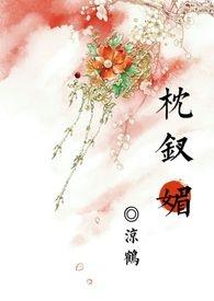 枕钗媚 txt