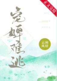 宠婢讲的什么
