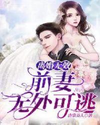 前妻离婚无效83中文