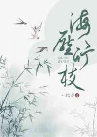 风吹山角晦还明的意思