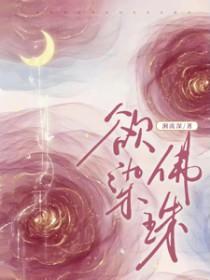 欲染佛珠玄弋的详细解释和背景介绍
