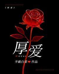 犹如身披铠甲什么意思