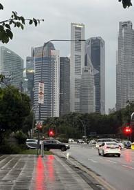 丛林法则啥意思