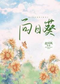 向日葵4月2日主力资金净卖出