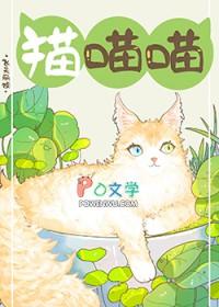 捡到流浪猫怎么办?