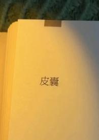 皮囊出轨hhh最新章节