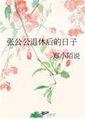 张公公退休后的日子讲的什么