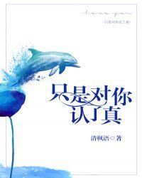 只是对你认了真全文阅读免费