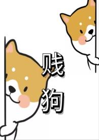 贱狗是什么