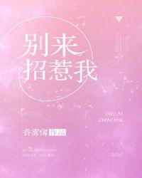 别来招惹我免费阅读