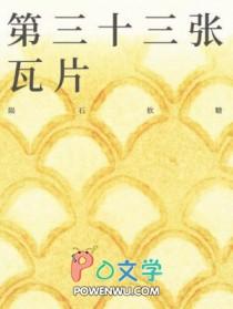 第三十三张瓦片by陨石软糖讲的什么故