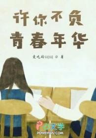 许你不负青春年华免费阅读