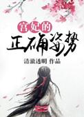 宫妃的正确姿势书评