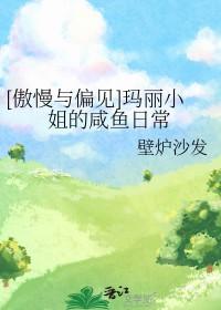 傲慢与偏见 玛丽苏