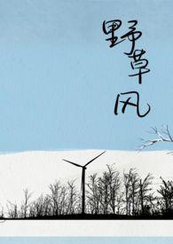 野草风长全文阅读