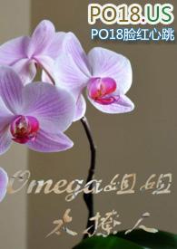 omega姐姐太撩人深山的小竹子