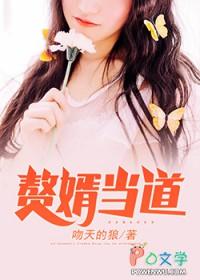 赘婿当道0