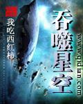 吞噬星空免费阅读笔趣阁无弹窗