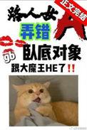 路人女a弄错卧底对象了