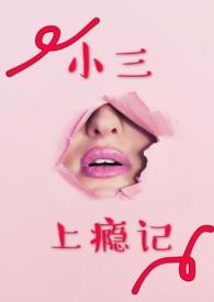 小三上瘾记笔趣阁