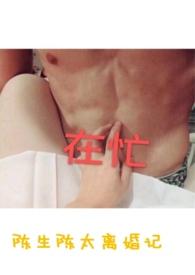 陈生陈太离婚记全文