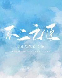 我是他的不二之臣