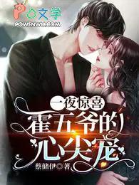 一夜情深霍冽宸和苏尽欢免费阅读