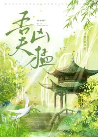 吾夫甚美无弹窗免费阅读