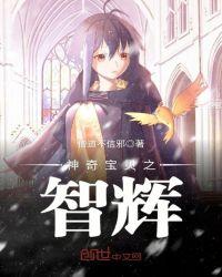 神奇宝贝之智辉TXT资源链接