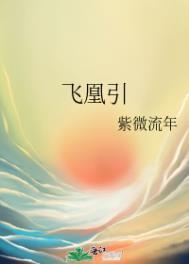 飞凰引未删减版