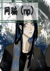 网骗NP文