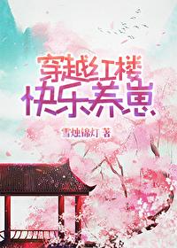 穿越红楼