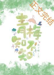 青梅知不知连载