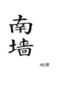 南墙已撞免费阅读