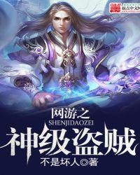 网游之最强盗贼
