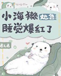 小海獭她靠睡觉爆红了25