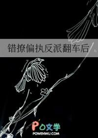 错撩反派后的日子