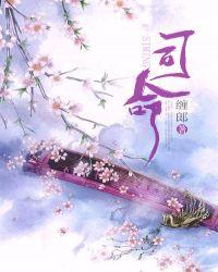 司命公高度