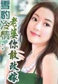 雪豹q集