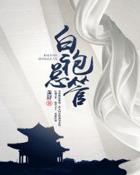 白袍总管百度百科境界