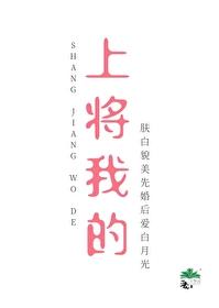 上将的专属宝贝免费全文阅读网