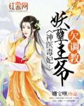 神医毒妃