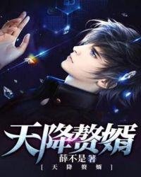 天降赘婿主角有几个女人