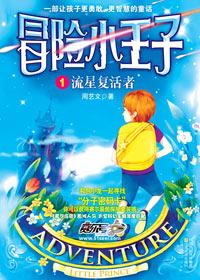 冒险小王子一共有几本